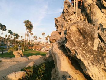 Trees on rock formation