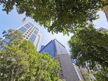 Low angle view of modern building