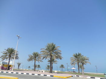 Low angle view of palm trees against clear blue sky