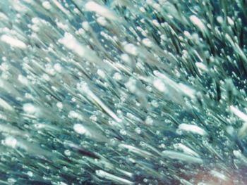 Full frame shot of wet glass during winter