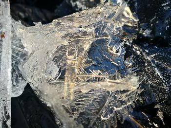 Close-up of frozen sea