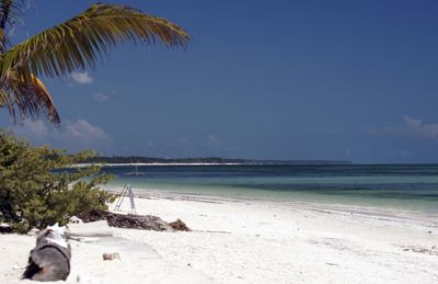 Scenic view of beach against blue sky