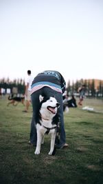 Dog standing on field