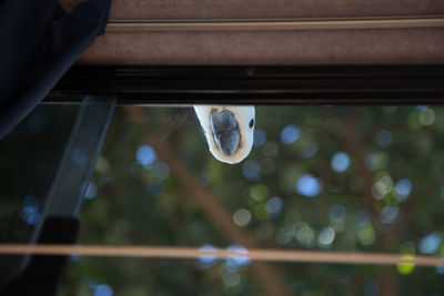 Low angle view of bubbles seen through glass window