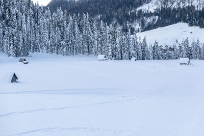 After the snowfall. dusk on the sappada plain. magic of winter.