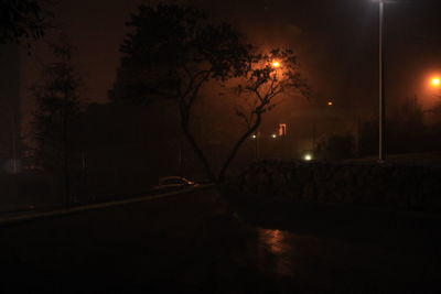 Silhouette trees by road in city at night