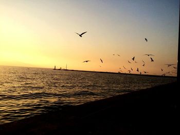 Silhouette birds flying over sea against clear sky