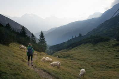 Rear view of young woman with backpack standing on mountain against sky