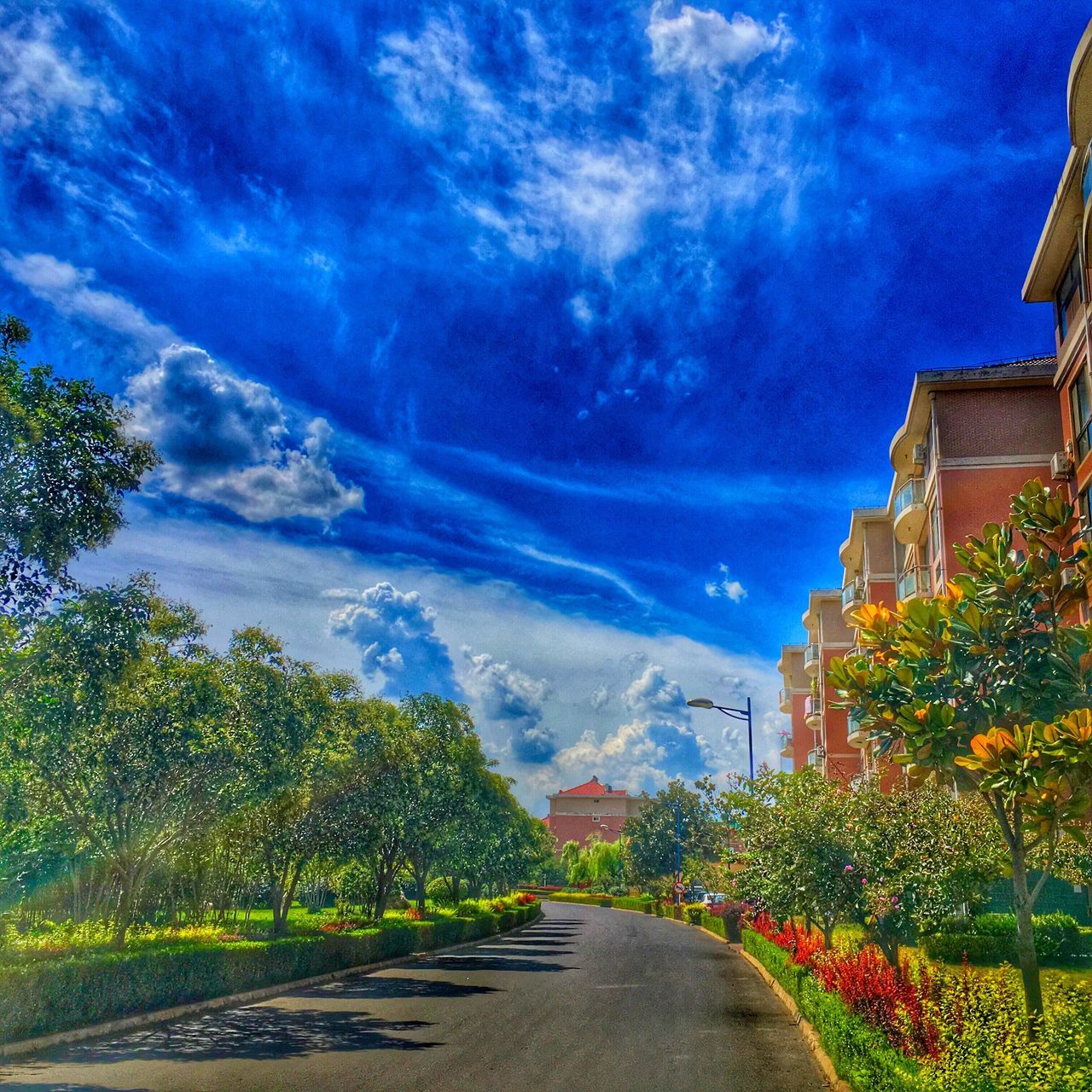 ROAD PASSING THROUGH LANDSCAPE