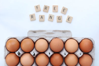 High angle view of eggs against white background