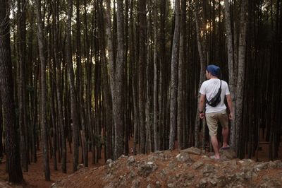 Rear view of man standing in forest