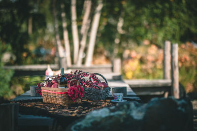 Close-up of burning candles