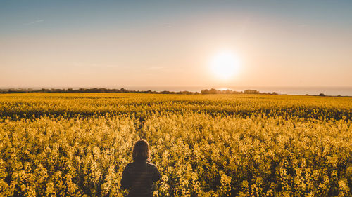 Rear view of person on grassy field against sky during sunset