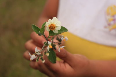 Close-up of hand holding flower