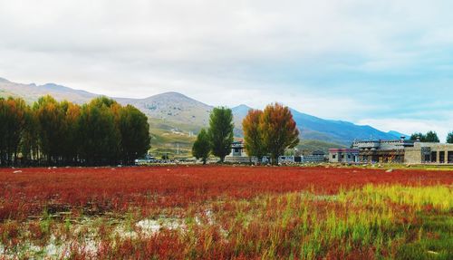 Scenic view of landscape against cloudy sky