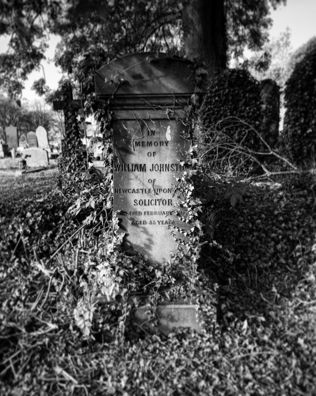 VIEW OF CEMETERY