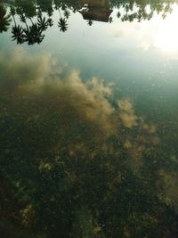 High angle view of lake