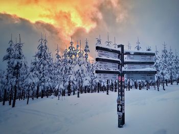 Snow covered trees against sky during sunset