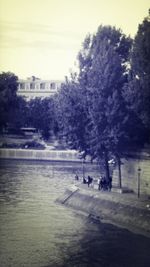 View of trees against sky