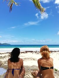 Rear view of friends on beach against sky