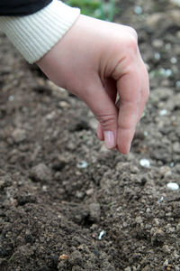 Close-up of hands on land