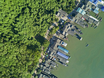 High angle view of houses by trees and plants