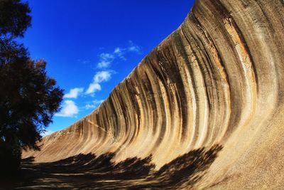 Low angle view of trees on desert against sky