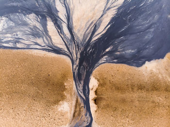 View of bare tree in desert