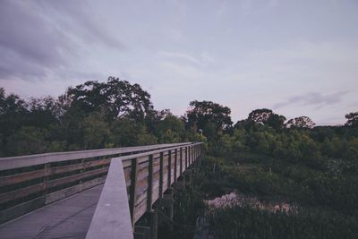 Trees on landscape against sky