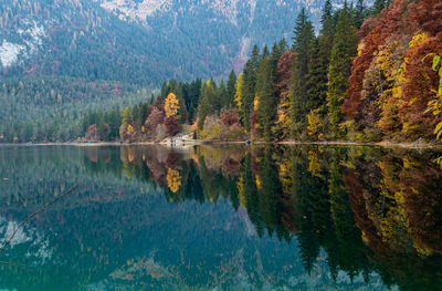 Scenic view of lake amidst trees in forest during autumn