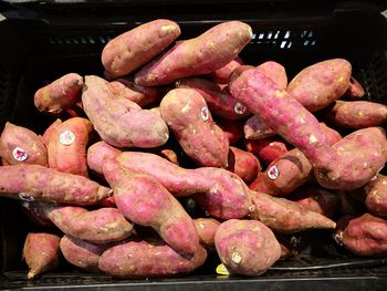 Close-up of pink for sale in market