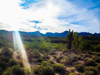 Scenic view of landscape against sky