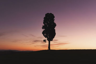 Silhouette tree on field against sky during sunset