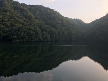 Scenic view of lake by trees against sky