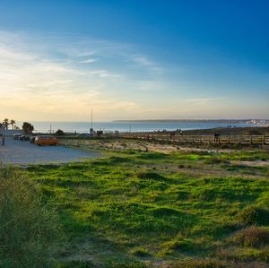 Scenic view of beach against sky during sunset