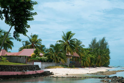 Palm trees by swimming pool against sky