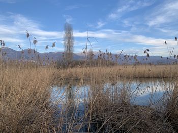 Scenic view of lake against sky