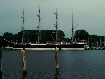 Sailboats in marina