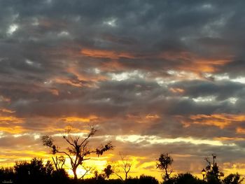 Low angle view of silhouette trees against dramatic sky