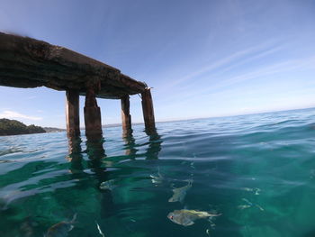 Wooden posts in sea against sky