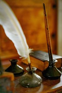 Close-up of feather on table