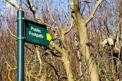 Low angle view of road sign