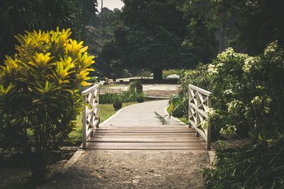 Little white bridge in a park