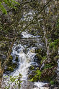 Waterfall in forest