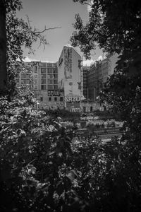 Buildings on field by trees against sky