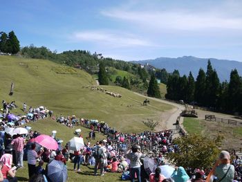 People on grassy field