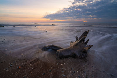 Scenic view of sea against sky during sunset