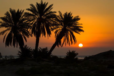 Silhouette palm trees against sky during sunset