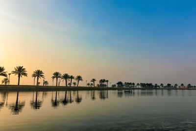 Palm trees by swimming pool against sky during sunset