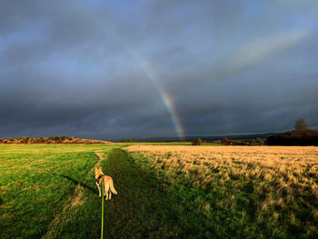 No pot of gold 